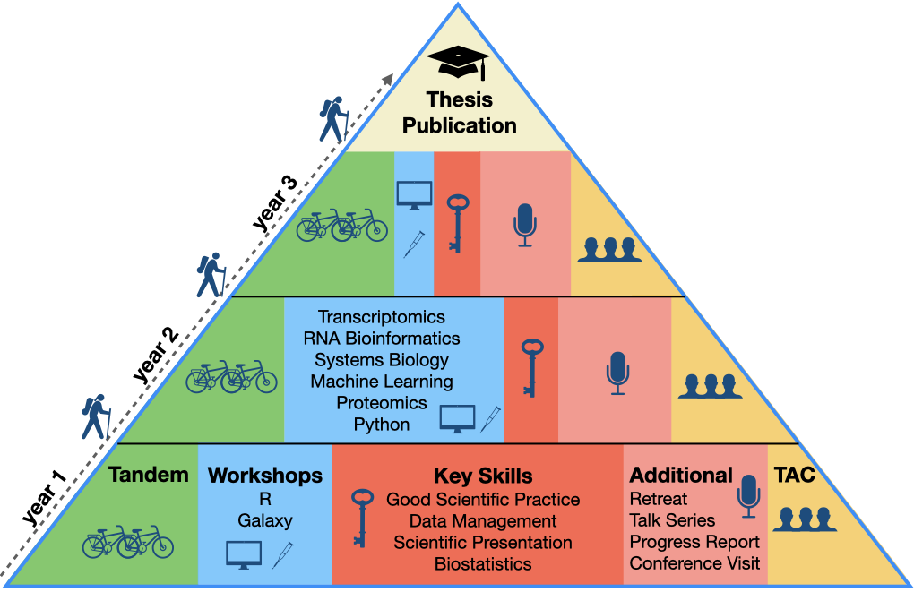 Pyramide Curriculum